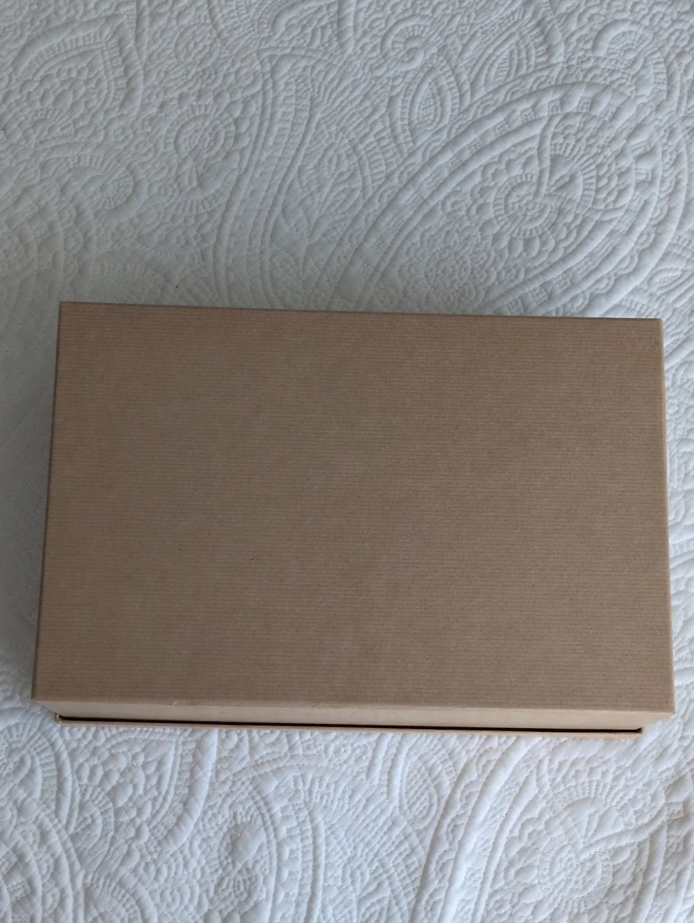 Christian Louboutin Authentic Box
